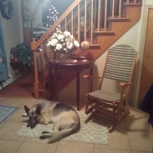 Meet your Posher, Paul